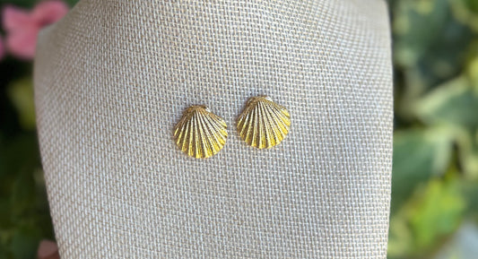 Shell Earrings