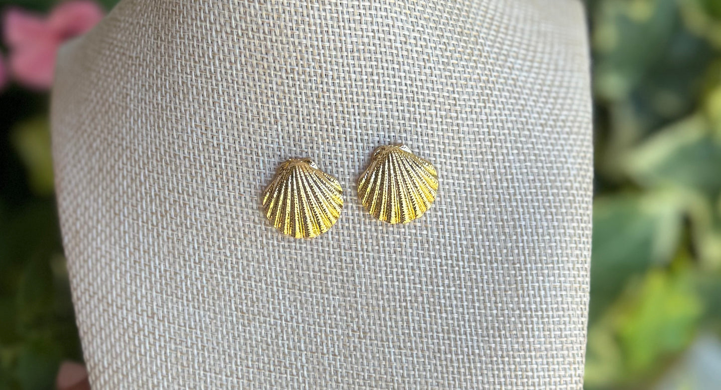 Shell Earrings